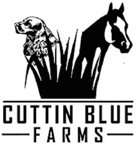 Cuttin Blue Farms|Purebred Dogs & Horses - Cuttin Blue Farms