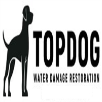  TopDog Water Damage Restoration Palm Beach Gardens